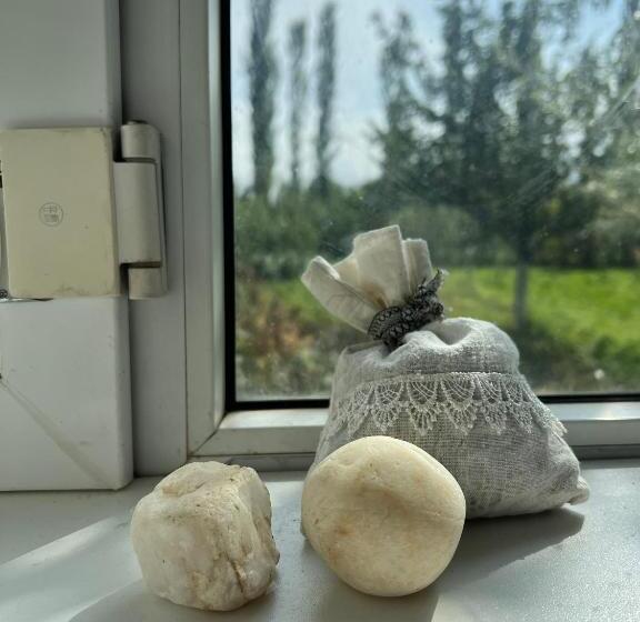 تختخواب و صبحانه Ecospace Kgz