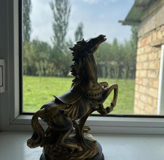 تختخواب و صبحانه Ecospace Kgz