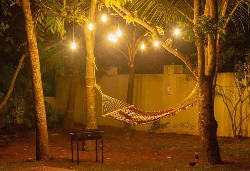 Aamiaismajoitus (B&B) Fool S Paradise