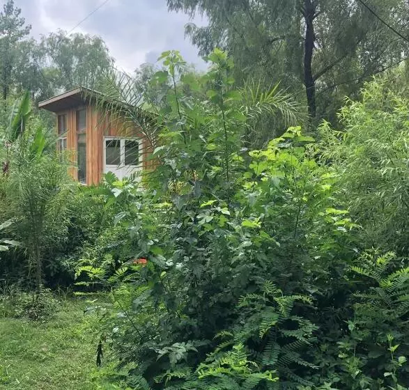 Aamiaismajoitus (B&B) La Casa En El Rio Con Viaje En Lancha
