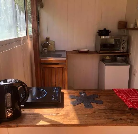 Aamiaismajoitus (B&B) La Casa En El Rio Con Viaje En Lancha