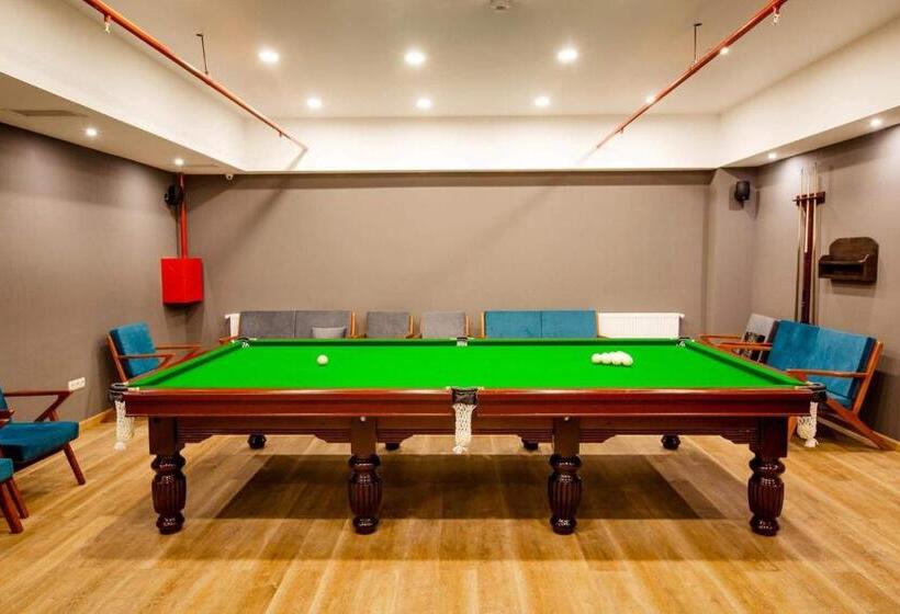 هتل Bakuriani Inn A112