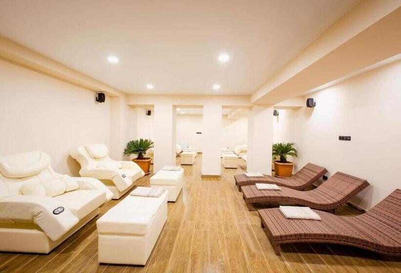 هتل Bakuriani Inn A112