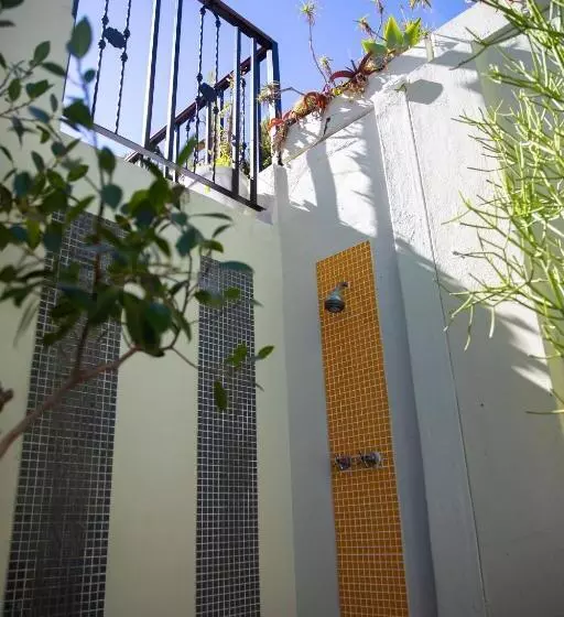 Majatalo Ami Vine House