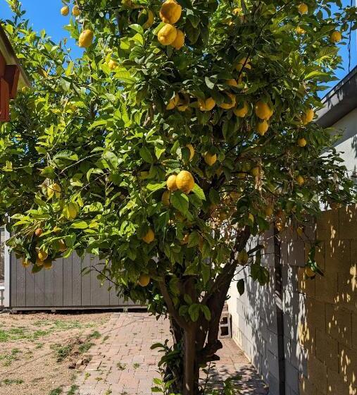 Pansiyon Chic Parisian Guest House