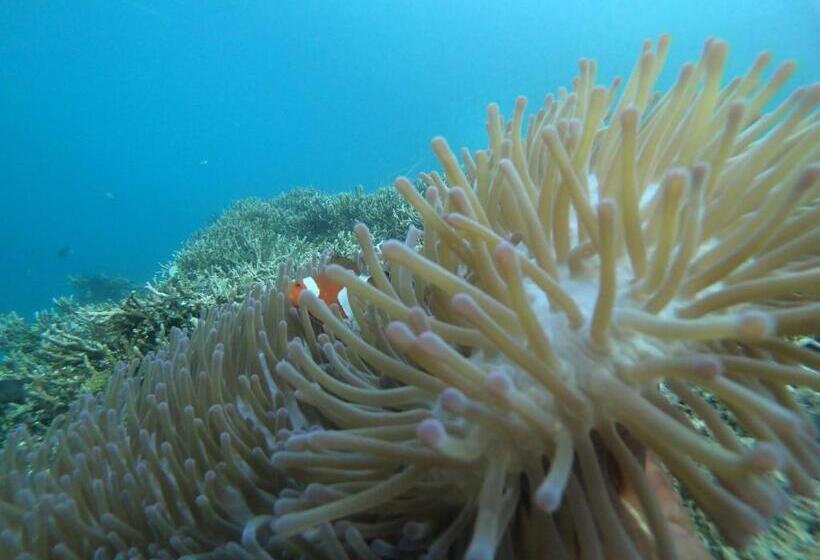 Пансион Private Island Guest House