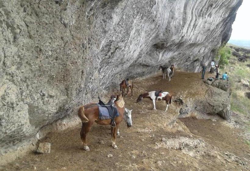 Pensjonat Room In Villa   Outback Retreat