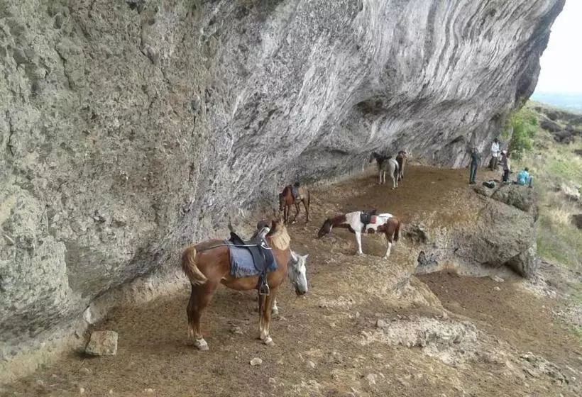 ペンション Room In Villa   Outback Retreat