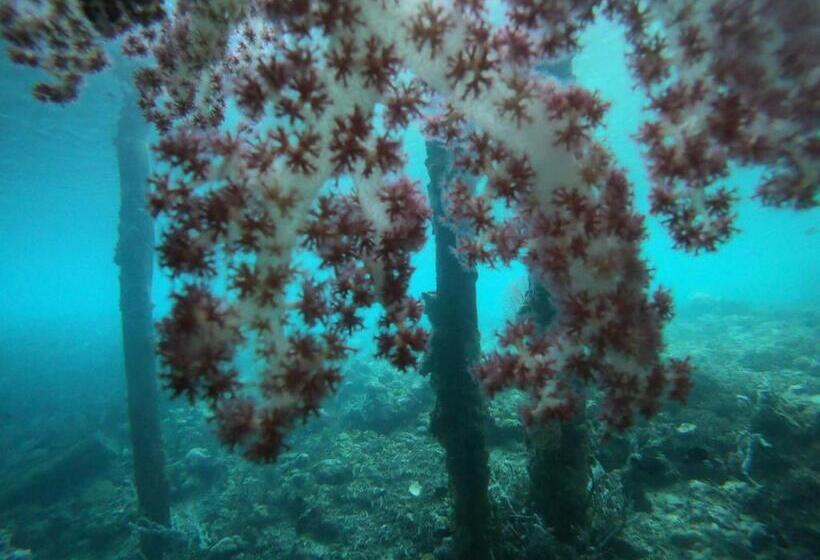 Пансион Yef Kabu Guest House