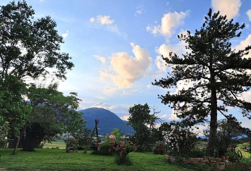 Отель Agriturismo Il Raggio Di Sole Di Orpello