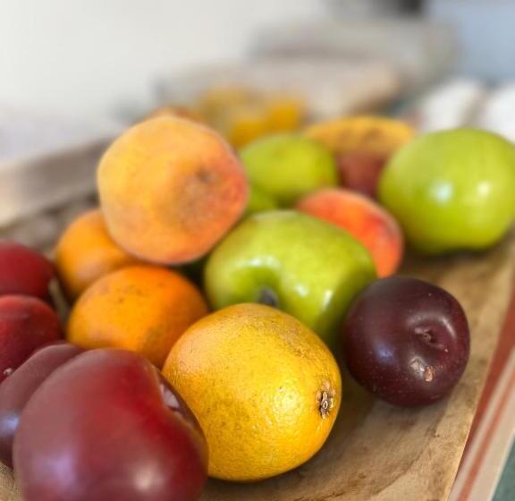 Hotel Sur Sur Patagónico