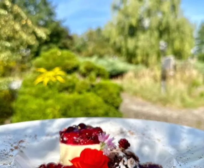 Hotelli Und Restaurant Sackwitzer Mühle