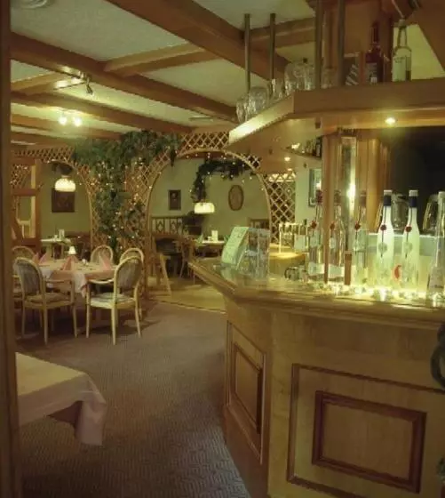 Hotelli Und Restaurant Sackwitzer Mühle