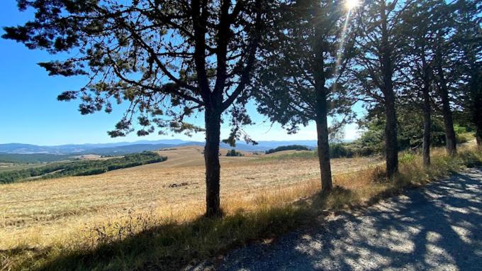 فندق Yellowstone In Chianti Resort E Pool