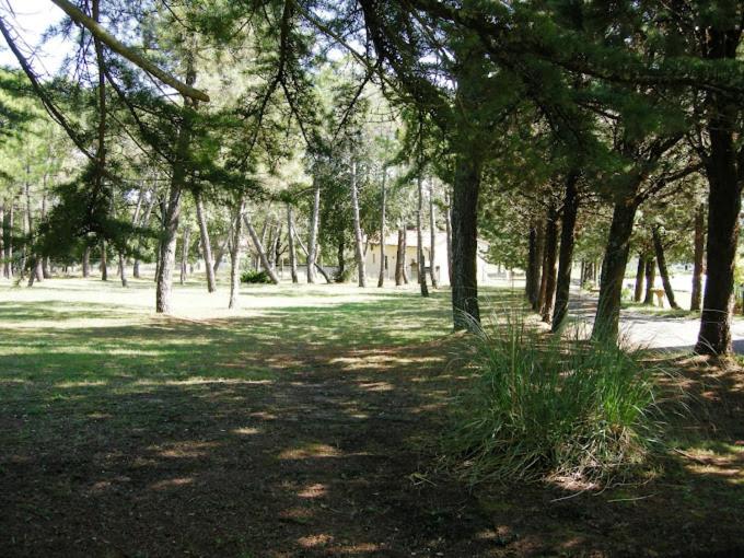 فندق Yellowstone In Chianti Resort E Pool