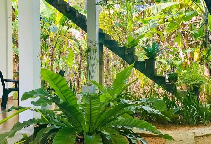 Majatalo Dimuthu Green Villa