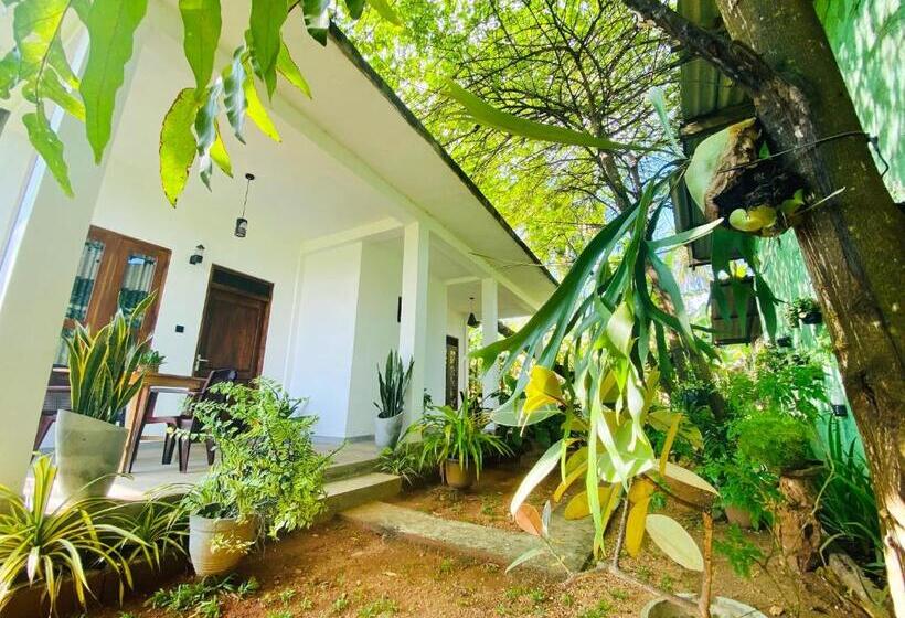 Pensione Dimuthu Green Villa