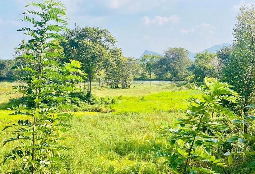 Pensione Dimuthu Green Villa