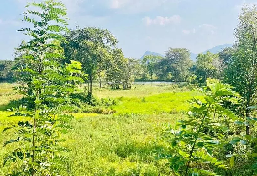 Majatalo Dimuthu Green Villa
