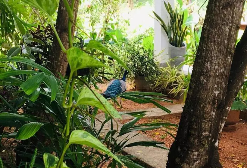 Majatalo Dimuthu Green Villa