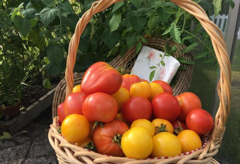 پانسیون Harmoonikum