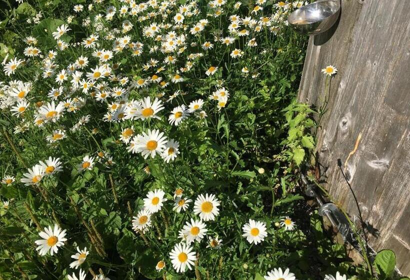 پانسیون Harmoonikum