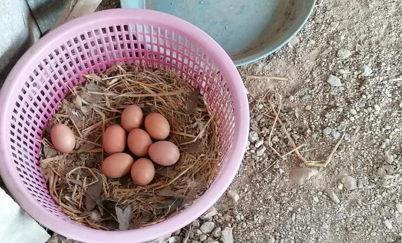 Pensjonat Lemax Homestay And Thailand Tours