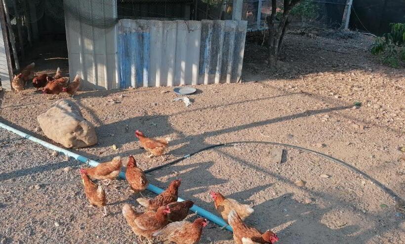 Pensjonat Lemax Homestay And Thailand Tours