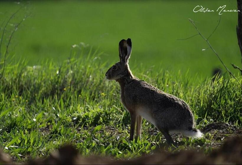 Bed and Breakfast Domaine De Montclair