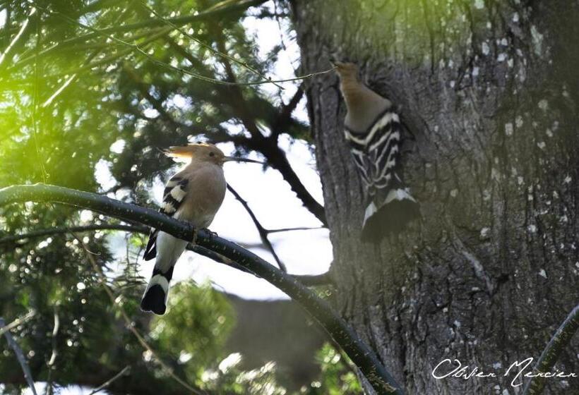 Bed and Breakfast Domaine De Montclair