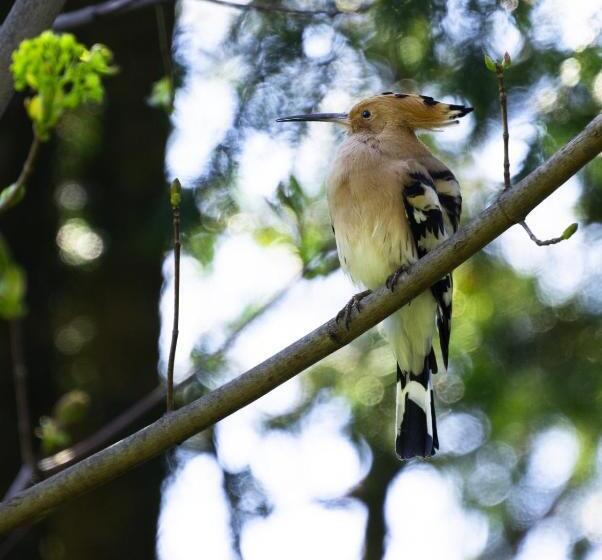 Bed and Breakfast Domaine De Montclair