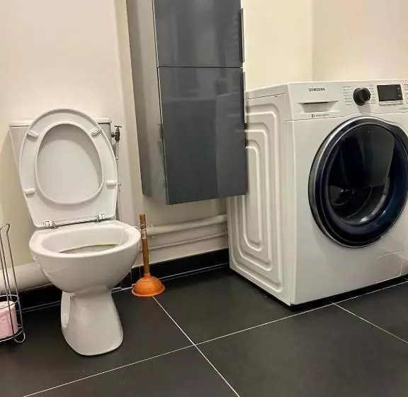 ベッドアンドブレックファースト Loue Chambre Appartement F5 La Plaine Saint Denis