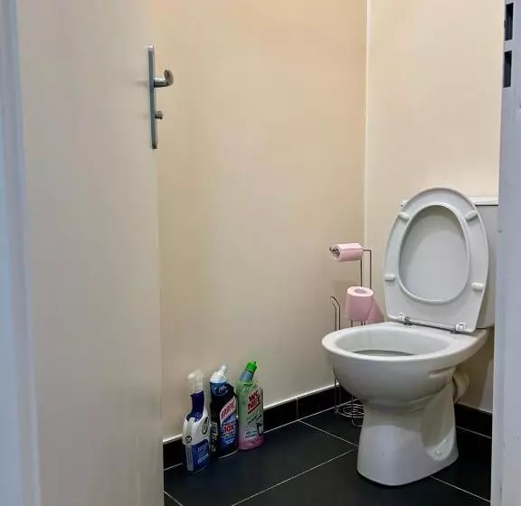 ベッドアンドブレックファースト Loue Chambre Appartement F5 La Plaine Saint Denis
