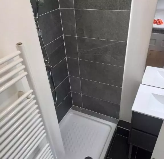 ベッドアンドブレックファースト Loue Chambre Appartement F5 La Plaine Saint Denis