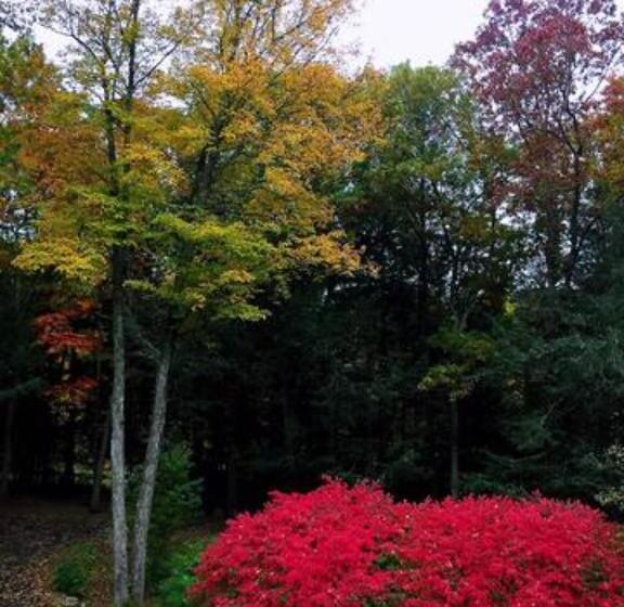 צימר Sunny Peace Homestay