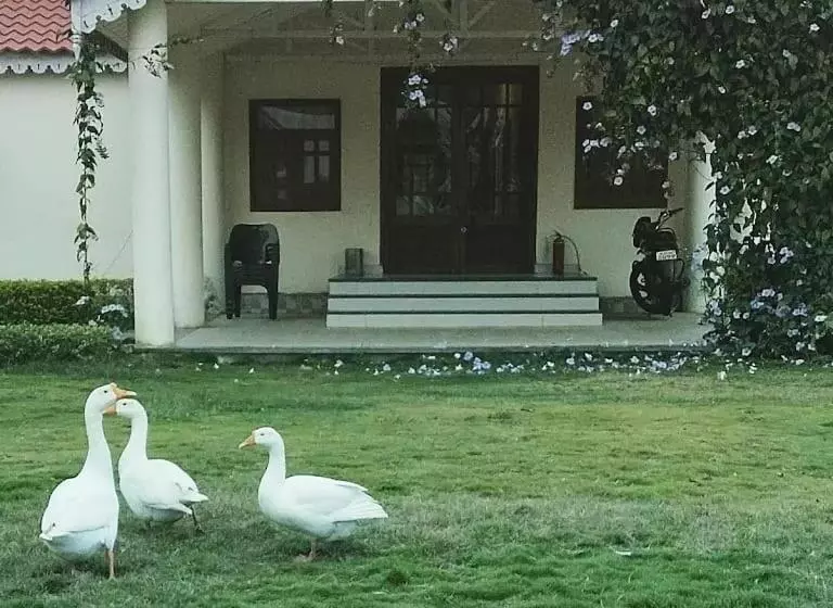 ホテル Singanama Resort