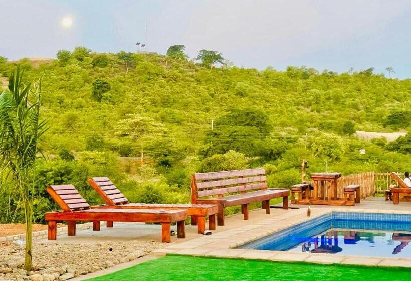 住宿加早餐  Damview Eco Lodge