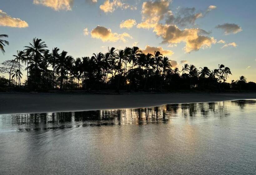 민박 Hibiscus Cabina 4