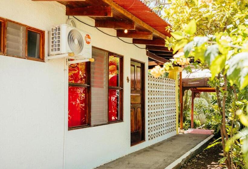 민박 Hibiscus Cabina 4