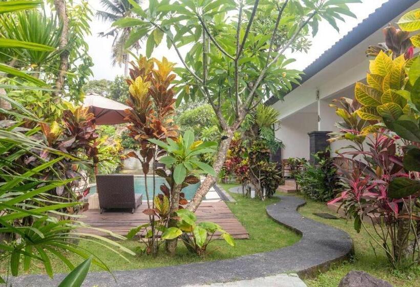 Hotel D Kamala By Prasi