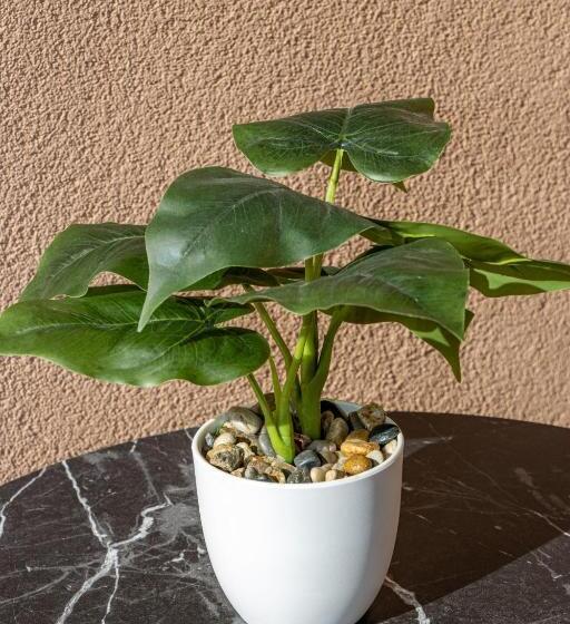 بنسيون Navial 1