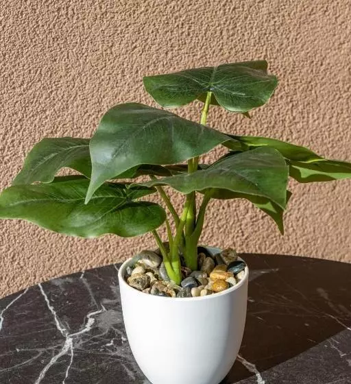 ペンション Navial 1