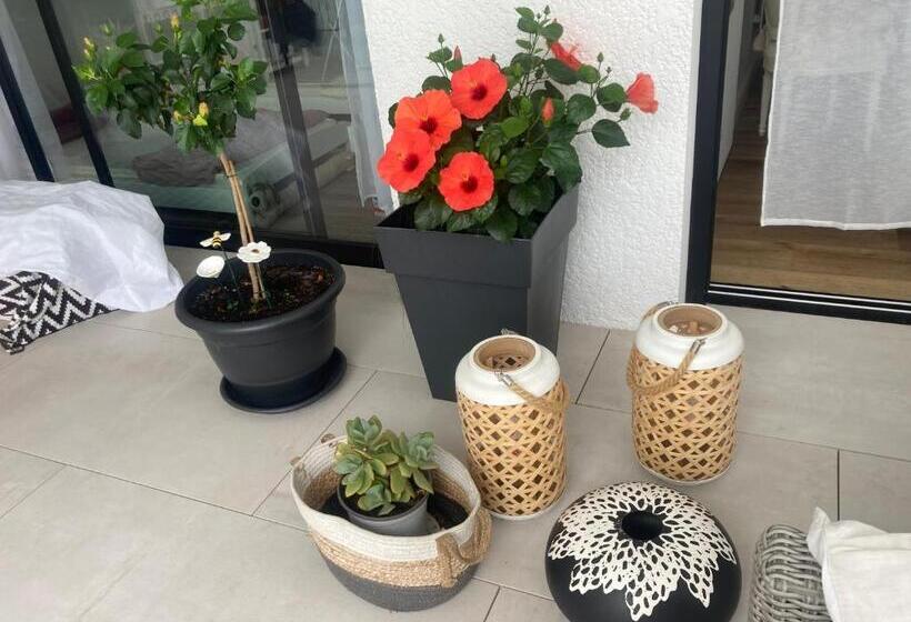 Bed and Breakfast Charmante Maison D’hôtes