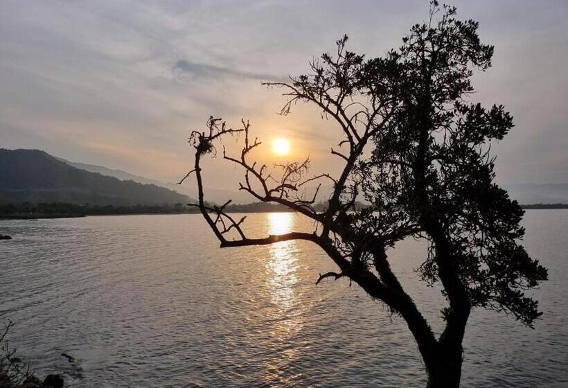 Bed & Breakfast E Marina Nova Pier 22