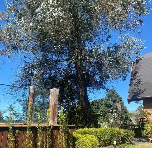 Aamiaismajoitus (B&B) Villa Panorama