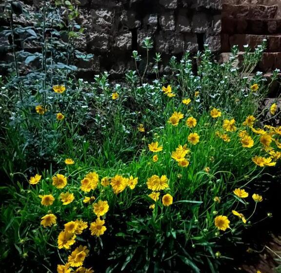 هتل La Sirena Ambositra