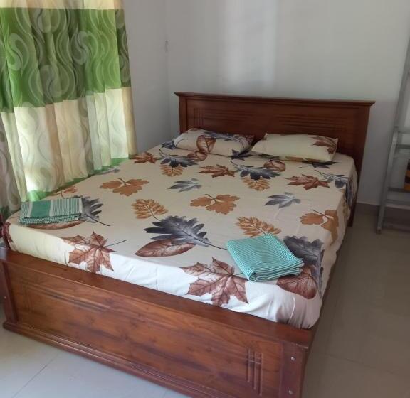 بنسيون New Blue Lotus