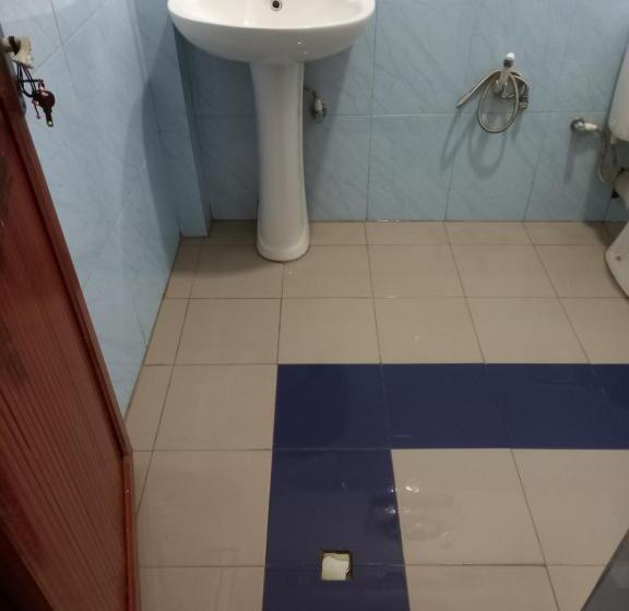 بنسيون New Blue Lotus