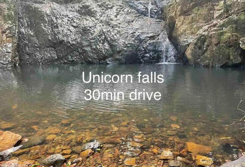 ペンション Tweed Hinterland Eco Cabin