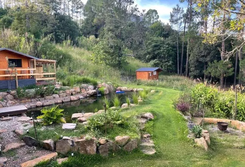 ペンション Tweed Hinterland Eco Cabin